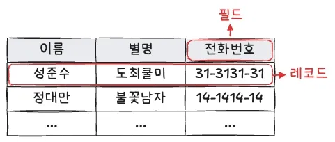 필드와 레코드